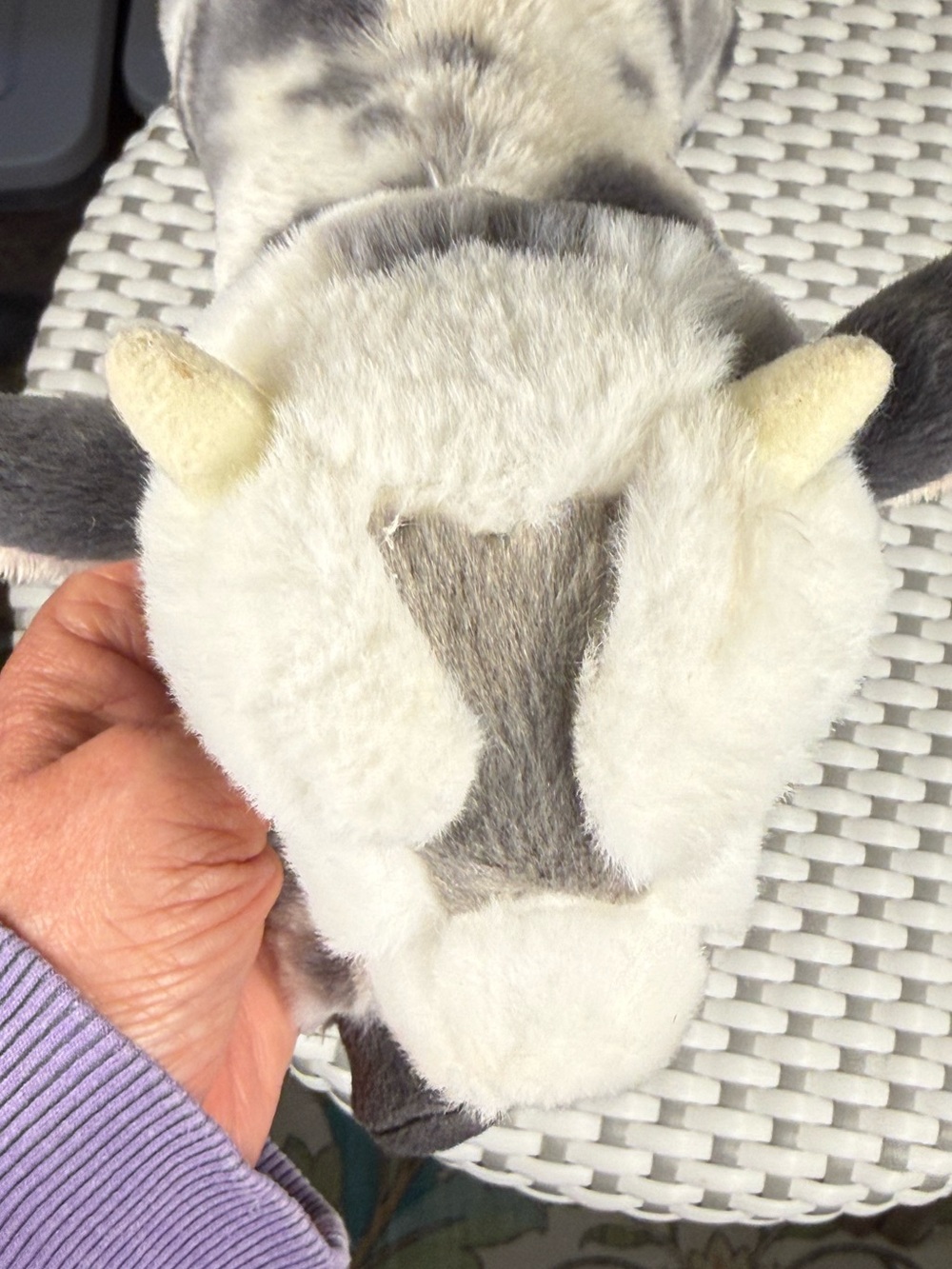 Douglas Cuddle Toy Poppy The Floppy Goat 8 Inches Soft Stuffie - Picture 12 of 12